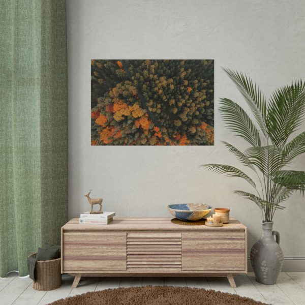 92409-13.jpg Autumnal Woods Drone View Poster
