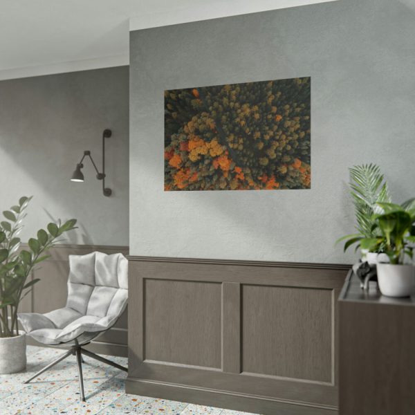92409-14.jpg Autumnal Woods Drone View Poster