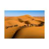 92409-25.jpg Gold Sand Dunes Poster