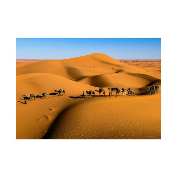 92409-25.jpg Gold Sand Dunes Poster