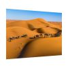92409-27.jpg Gold Sand Dunes Poster