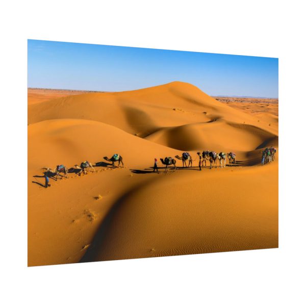92409-27.jpg Gold Sand Dunes Poster
