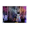 92409-310.jpg Christmas Lights Poster