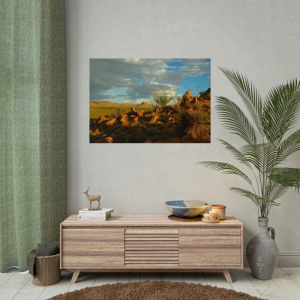 92409-523.jpg Sonoran Desert Poster