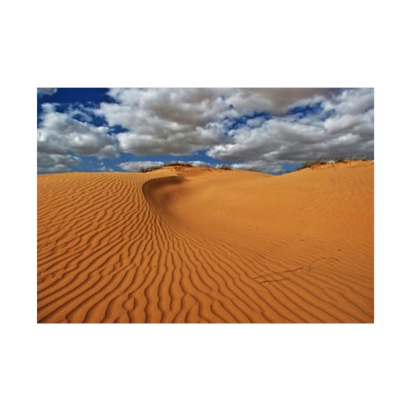 92409-525.jpg Ripples In The Sand Dunes Poster