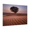 92409-547.jpg Trees in the Desert Poster