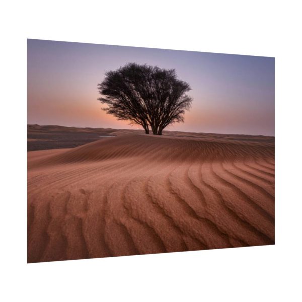 92409-547.jpg Trees in the Desert Poster