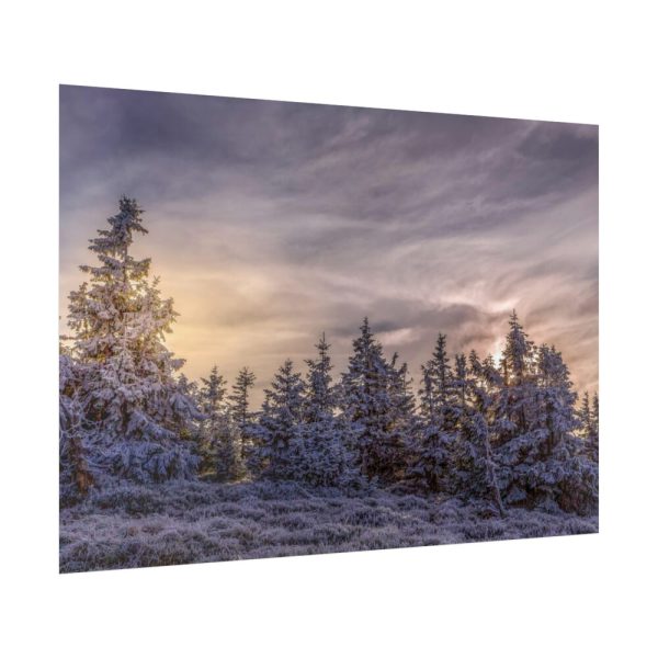 92409-572.jpg Way in Jesenik Mountain Poster