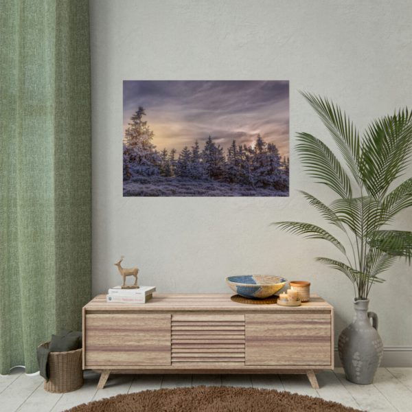 92409-573.jpg Way in Jesenik Mountain Poster