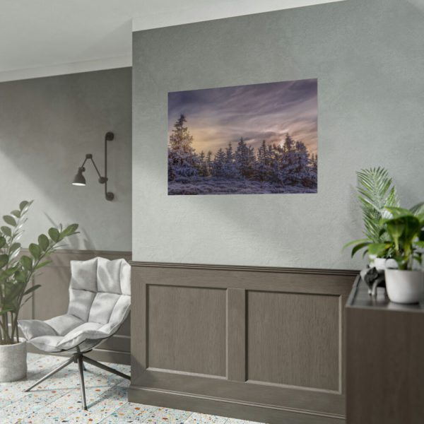 92409-574.jpg Way in Jesenik Mountain Poster