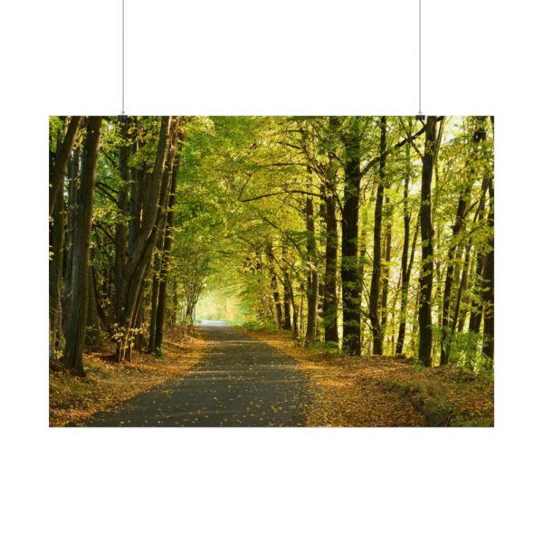 92409-6.jpg Beautiful Autumn forest Poster