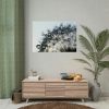 Dandelion Bloom Wildflower Nature Poster