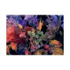 92409-705.jpg Sketched Outline Autumn Poster