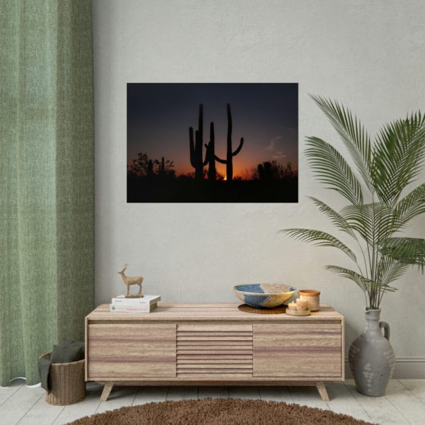 Saguaro Cacti at Sunset in the Arizona Desert Poster