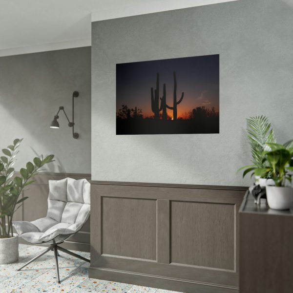 Saguaro Cacti at Sunset in the Arizona Desert Poster