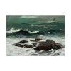92409-95.jpg Summer Squall by Winslow Homer Poster