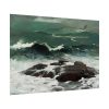 92409-97.jpg Summer Squall by Winslow Homer Poster