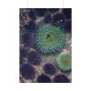 92410-11.jpg Underwater World Poster