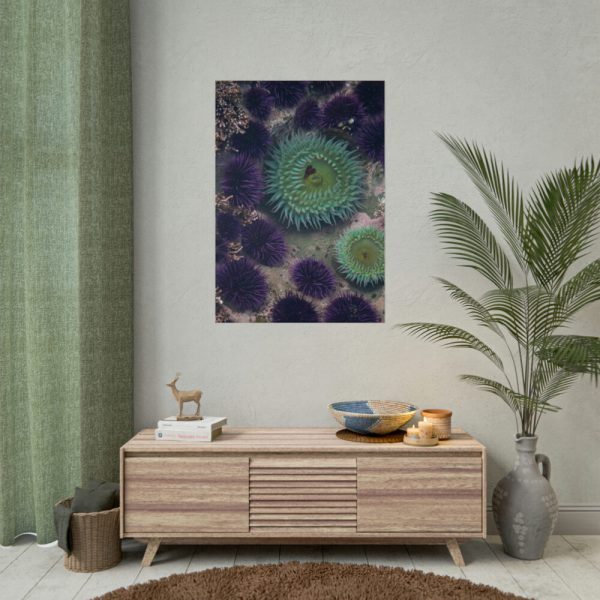 92410-13.jpg Underwater World Poster