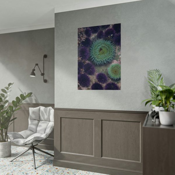 92410-14.jpg Underwater World Poster