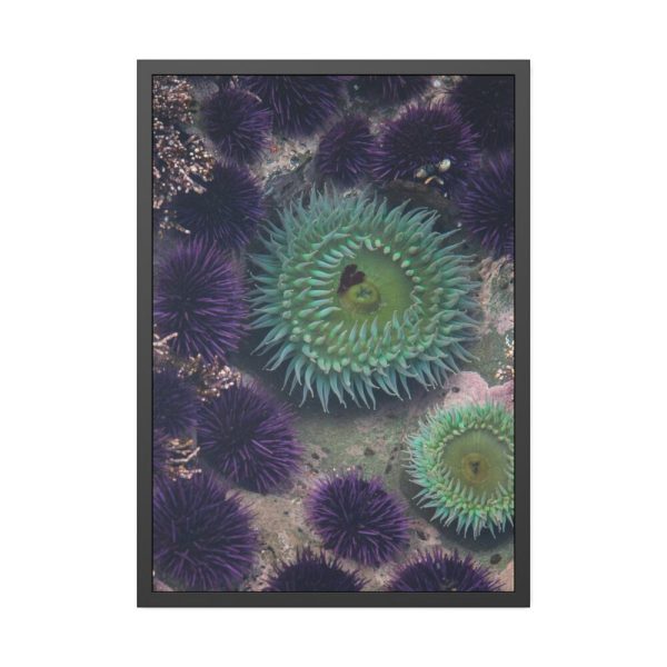 93830-8.jpg Underwater World Framed Poster