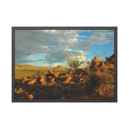 Sonoran Desert Framed Poster