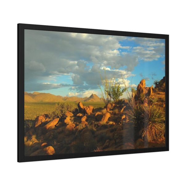 93854-373.jpg Sonoran Desert Framed Poster