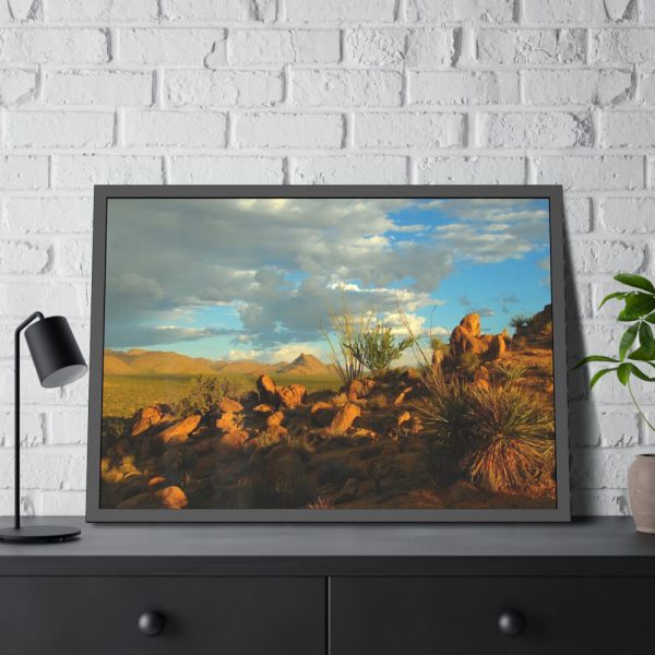 93854-375.jpg Sonoran Desert Framed Poster
