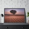 93854-395.jpg Trees in the Desert Framed Poster