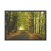 93854-4.jpg Beautiful Autumn forest Framed Poster