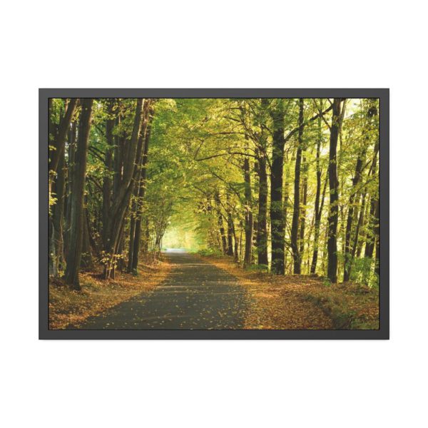 93854-4.jpg Beautiful Autumn forest Framed Poster