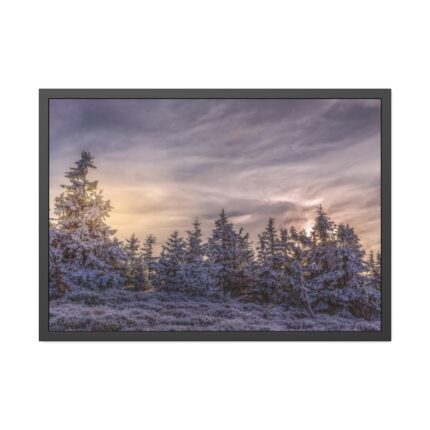 Way in Jesenik Mountain Framed Poster