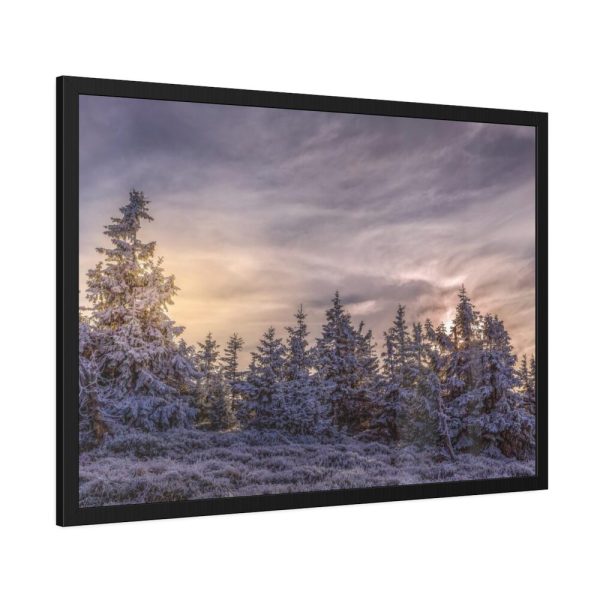93854-413.jpg Way in Jesenik Mountain Framed Poster