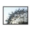 93854-460.jpg Dandelion Bloom Wildflower Nature Framed Poster