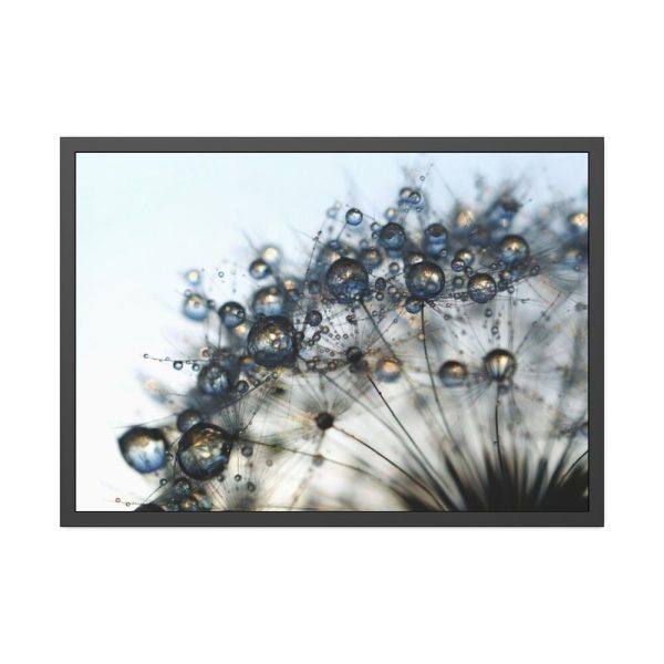 93854-460.jpg Dandelion Bloom Wildflower Nature Framed Poster