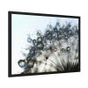 93854-461.jpg Dandelion Bloom Wildflower Nature Framed Poster