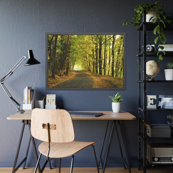 93854-6.jpg Beautiful Autumn forest Framed Poster