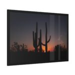 Saguaro Cacti at Sunset in the Arizona Desert Framed Canvas - Image 2