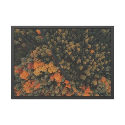 Autumnal Woods Drone View Framed Poster