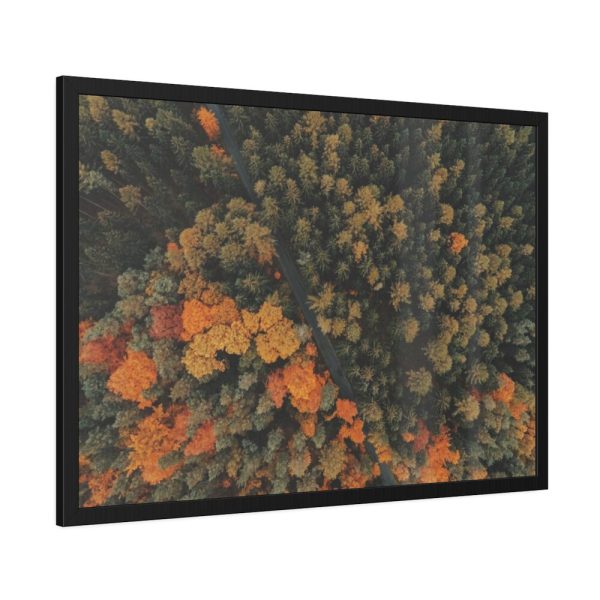93854-9.jpg Autumnal Woods Drone View Framed Poster