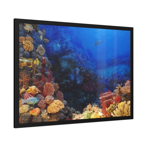 93854-97.jpg Ocean Life Framed Poster