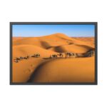 Gold Sand Dunes Framed Poster - Image 5