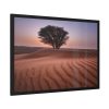 93855-393.jpg Trees in the Desert Framed Poster