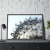 93855-463.jpg Dandelion Bloom Wildflower Nature Framed Poster