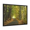 93855-5.jpg Beautiful Autumn forest Framed Poster