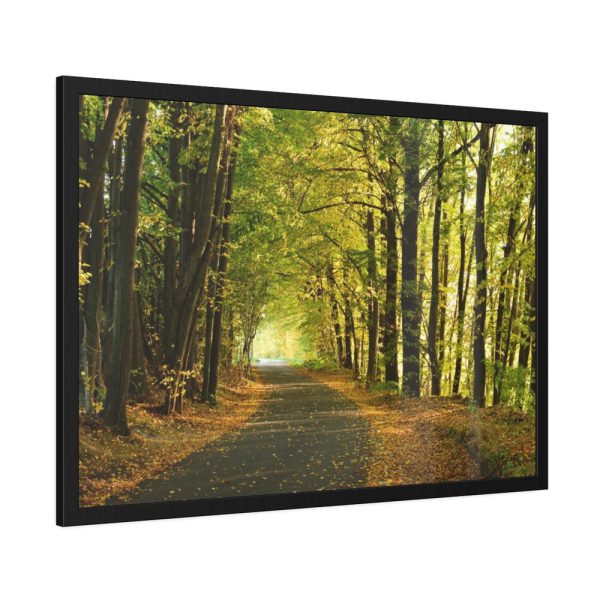93855-5.jpg Beautiful Autumn forest Framed Poster