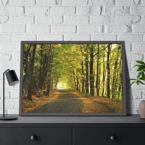 93855-7.jpg Beautiful Autumn forest Framed Poster