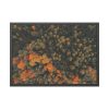 93855-8.jpg Autumnal Woods Drone View Framed Poster