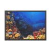 93855-96.jpg Ocean Life Framed Poster