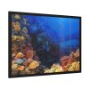 93855-97.jpg Ocean Life Framed Poster